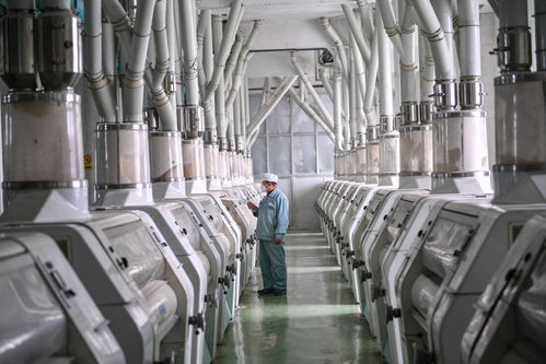 齊魯原創技術轉讓 創新驅動與產業升級的雙向賦能